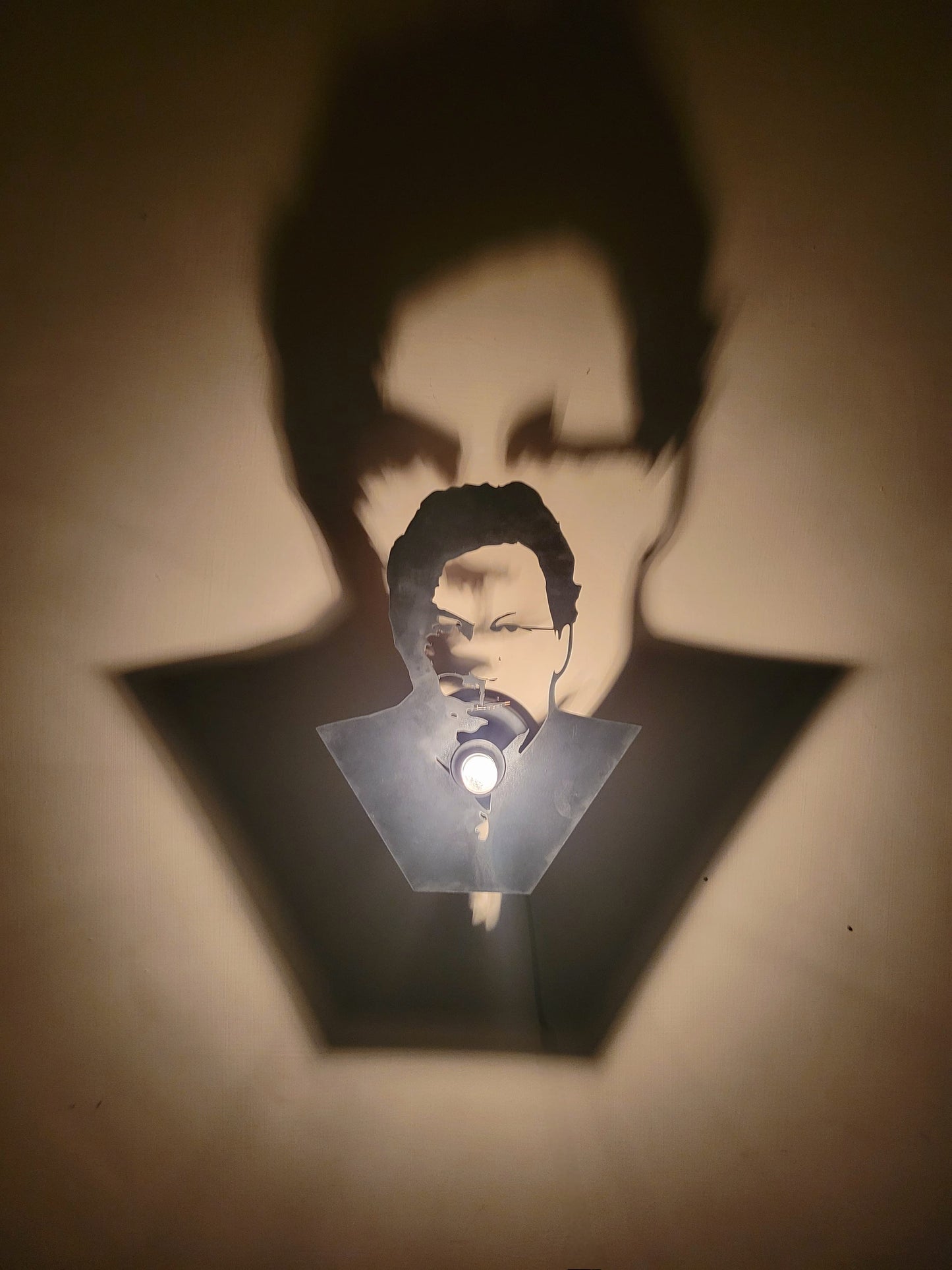 Face Customized Shadow Lamp