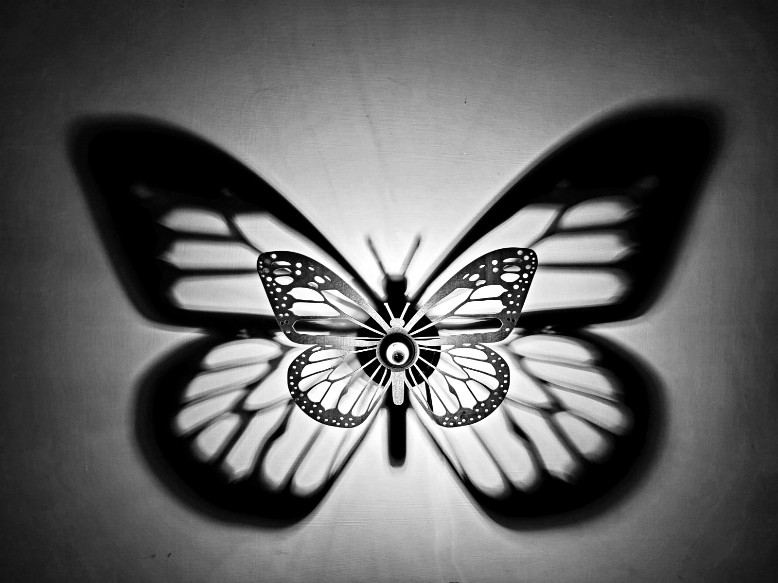Butterfly Lamp - 3D wall shadow lamp view 2