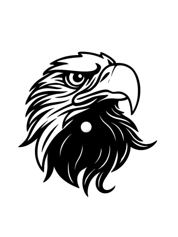 Eagle shadow lamp - wall night lamp Pakistan